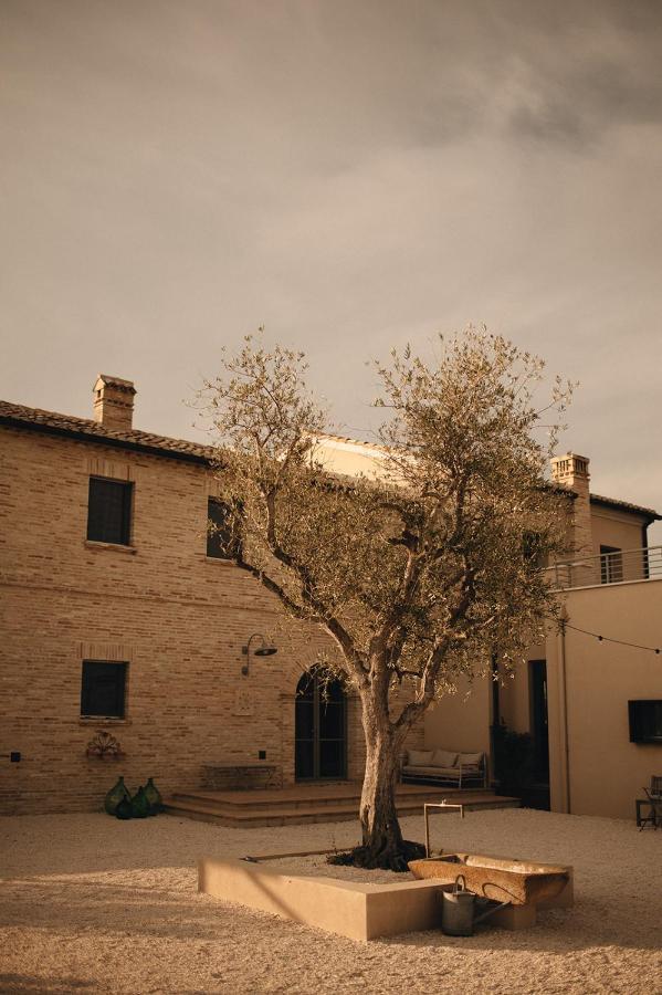 Casale Tre Gelsi Bed & Breakfast Cingoli Exterior photo